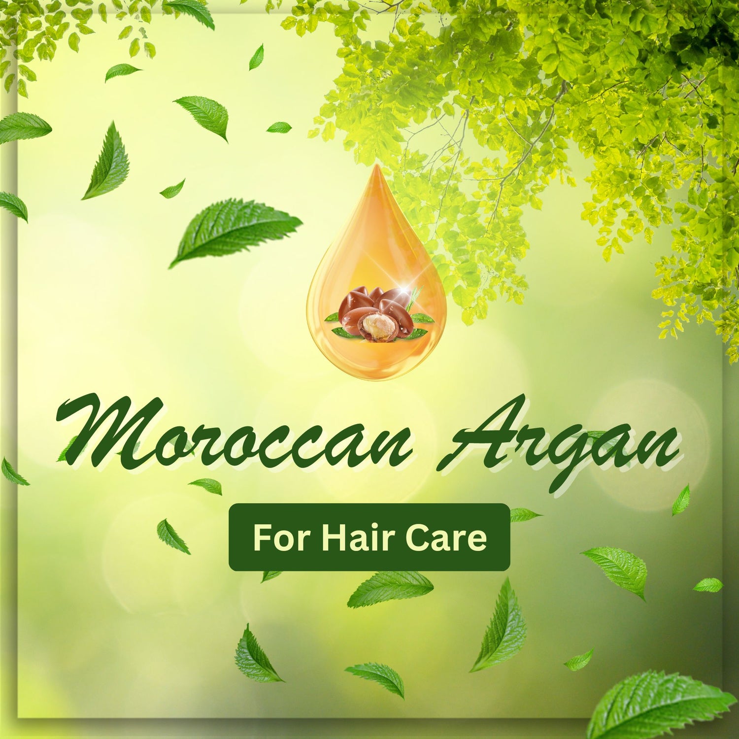 MOROCCAN ARGAN
