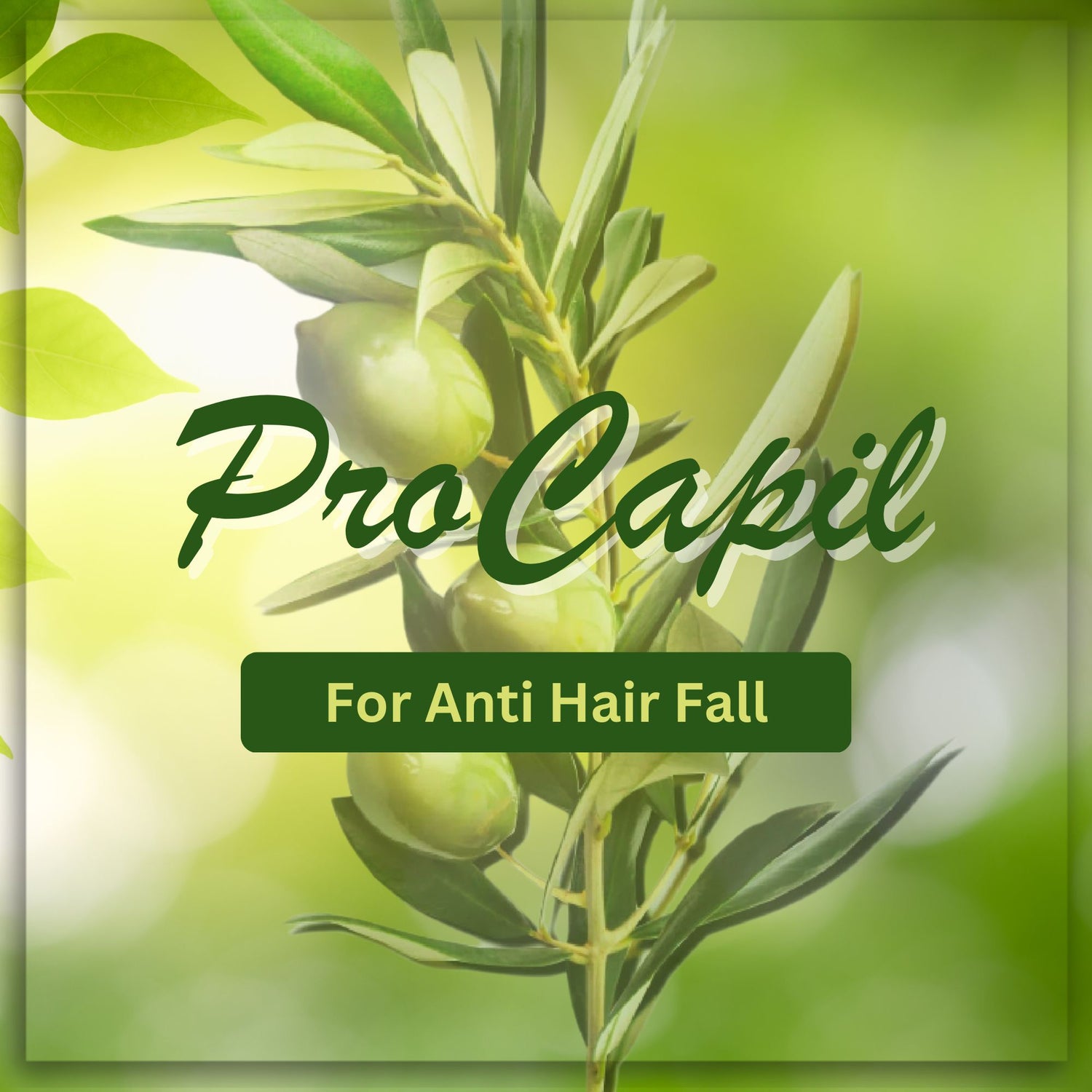 PROCAPIL